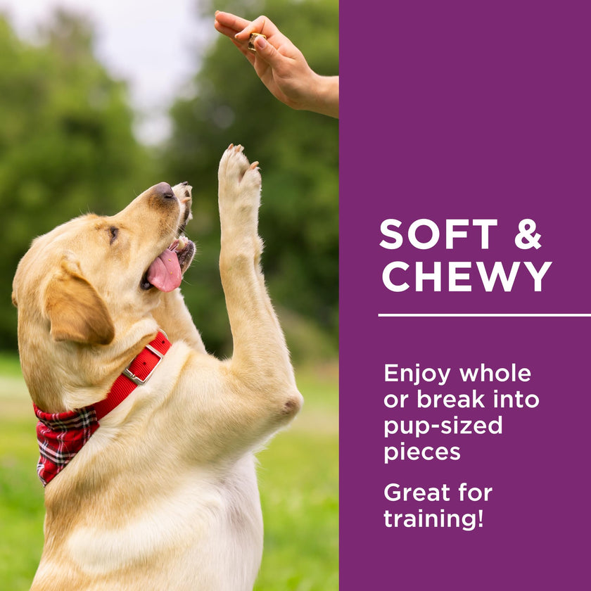 Dog Delights Chewy Chicken Sticks, All Natural & Preservative Free Training Dog Treats - 1.25 kg 🍁 All In One Marketplace Canada