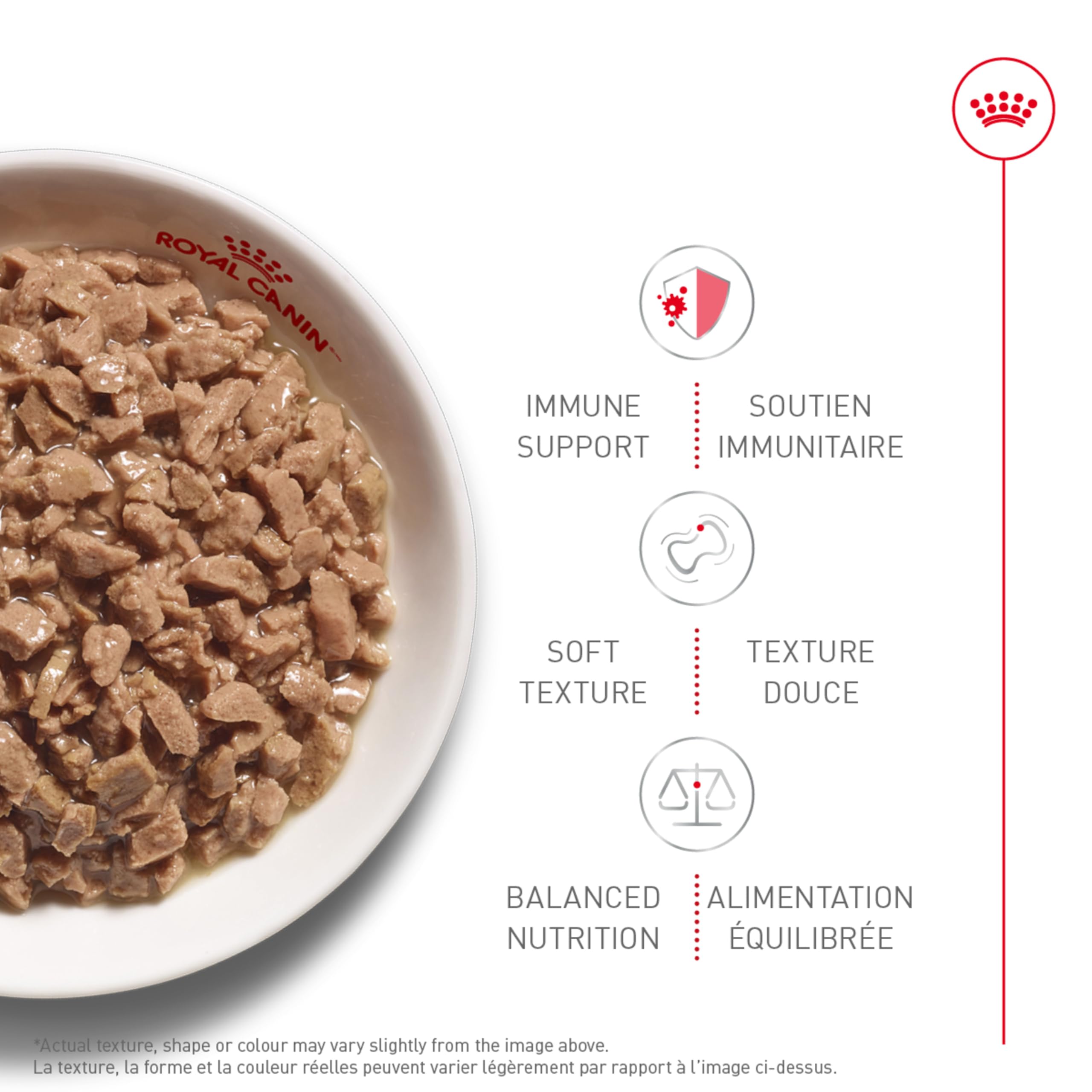 Royal Canin Feline Health Nutrition Kitten Thin Slices in Gravy Canned Cat Food, 3 oz can (12-Count) 🍁 All In One Marketplace Canada