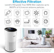 Levoit LV-H133 Air Purifier Genuine Replacement Filter, 1 Pack 🍁 All In One Marketplace Canada