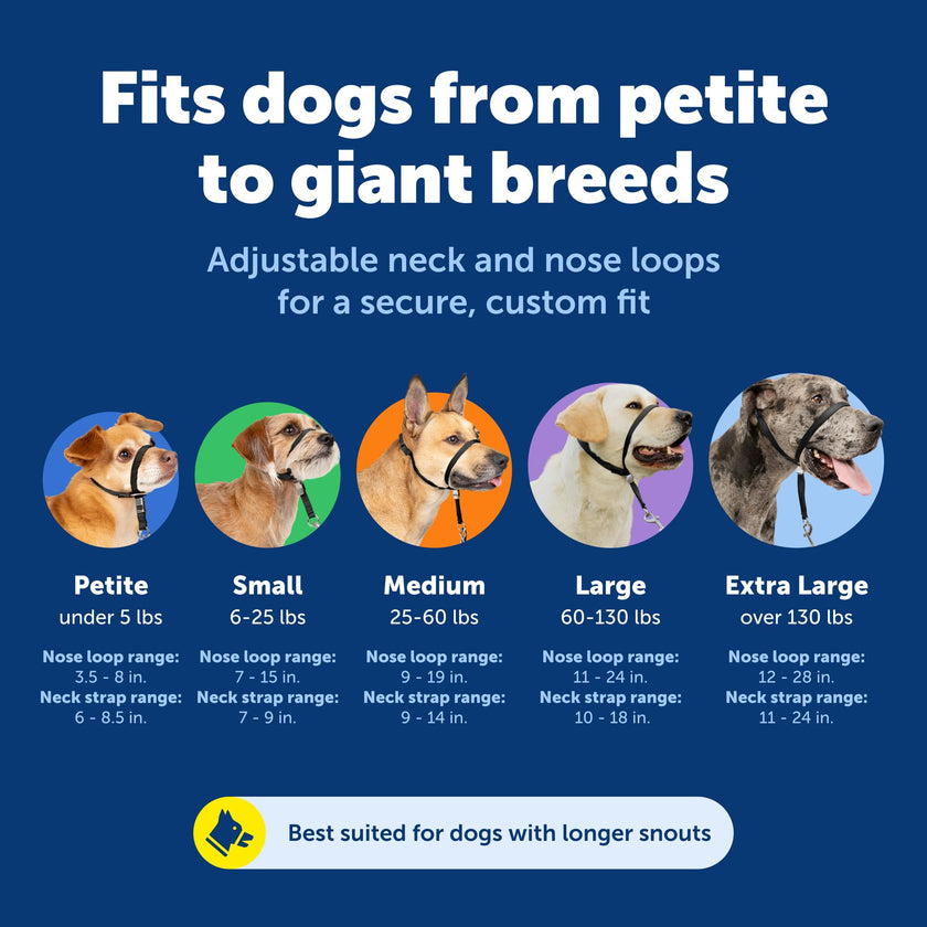 PetSafe Gentle Leader No-Pull Dog Headcollar - The Ultimate Solution to Pulling - Redirects Your Dog's Pulling for Easier Walks - Helps You Regain Control - Large, Charcoal 🍁 All In One Marketplace Canada