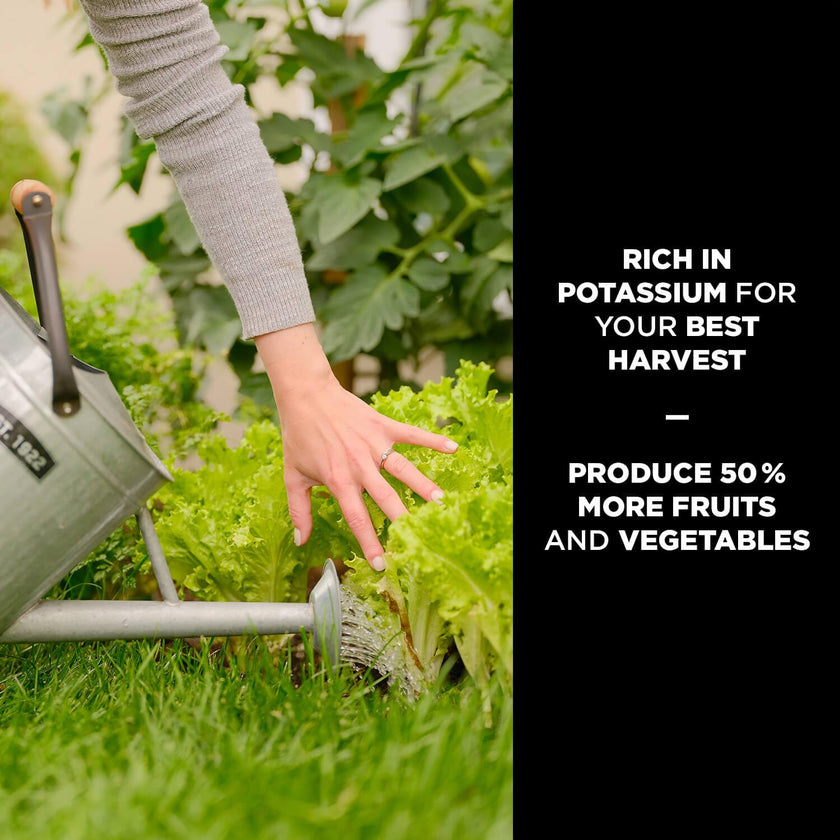 PRO-MIX® Organic Tomatoes, Vegetables and Fruits 4-4-8 🍁 All In One Marketplace Canada