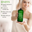 MAJESTIC PURE Tea Tree Body Wash with Collagen - Helps Nail Fungus, Athletes Foot, Ringworms, Jock Itch, Acne, Eczema & Body Odor - Soothes Itching - (Packaging May Vary), 16 fl oz 🍁 All In One Marketplace Canada