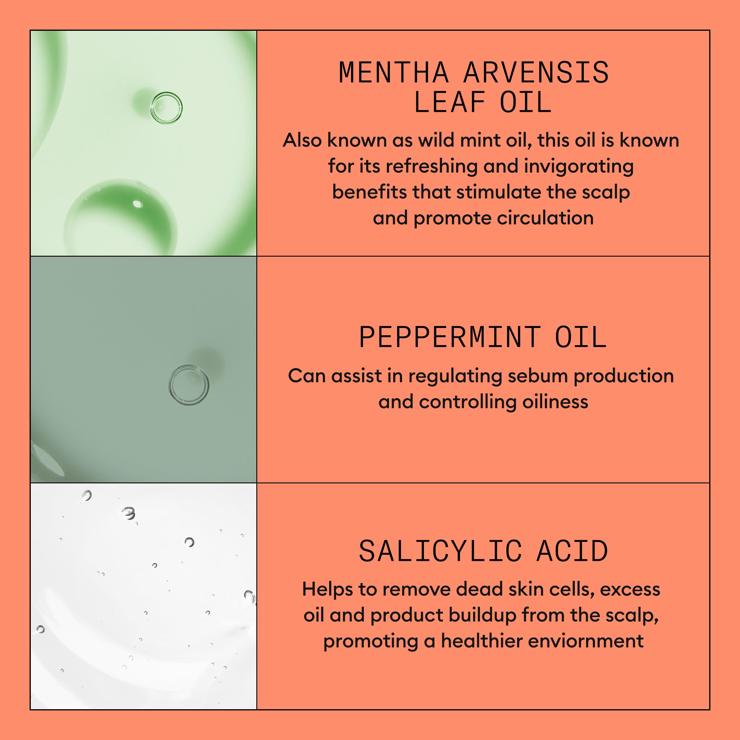 Nioxin System 4 Scalp + Hair Shampoo - Hair Thickening Shampoo For Damaged Hair with Progressed Thinning, 10 fl oz (Packaging May Vary) 🍁 All In One Marketplace Canada