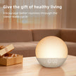 Sunrise Alarm Clock White Noise Machine: Natural Wake Up Light - Dimmable Clock with Bluetooth Speaker for Bedroom - 25 Sleep Sounds for Baby Adults Kids Putty 🍁 All In One Marketplace Canada