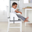 Ingenuity Baby Base 2-in-1 Booster Feeding and Floor Seat with Self-Storing Tray - Night Sky 🍁 All In One Marketplace Canada