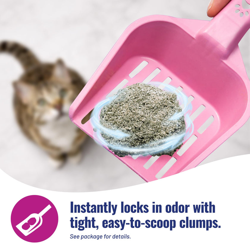 Cat's Pride Premium Lightweight Clumping Litter: Pure & Fresh - Up to 10 Days of Powerful Odor Control - Multi-Cat, Scented, 10 Pounds 🍁 All In One Marketplace Canada