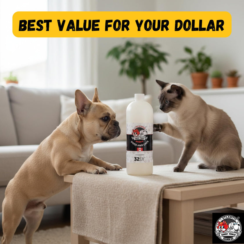 Bunny Punch Pure Atlantic Salmon Oil for Dogs & Cats - Liquid Food Topper - 32 oz 🍁 All In One Marketplace Canada