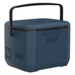 Coleman Chiller 16QT/15L Insulated Portable Cooler with Ice Retention & Large Carry Handle, Great for Camping, Tailgating, Parties, Sports, Concerts, Lunches & More 🍁 All In One Marketplace Canada