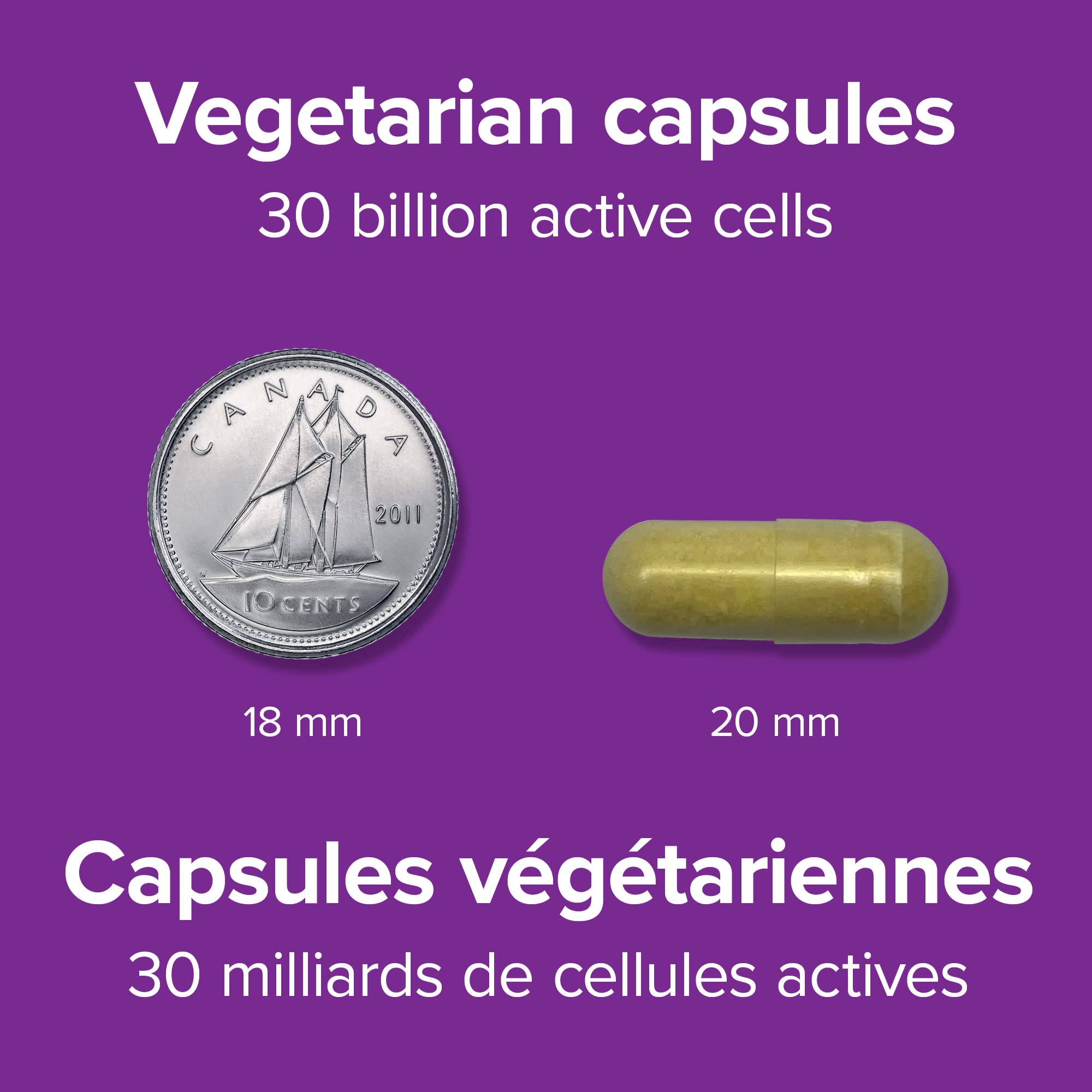 Webber Naturals Probiotic Max IBS Support, 30 Billion Active Cells, 5 Probiotic Strains, 45 Capsules, Helps Reduce Symptoms of Irritable Bowel Syndrome, Vegetarian 🍁 All In One Marketplace Canada
