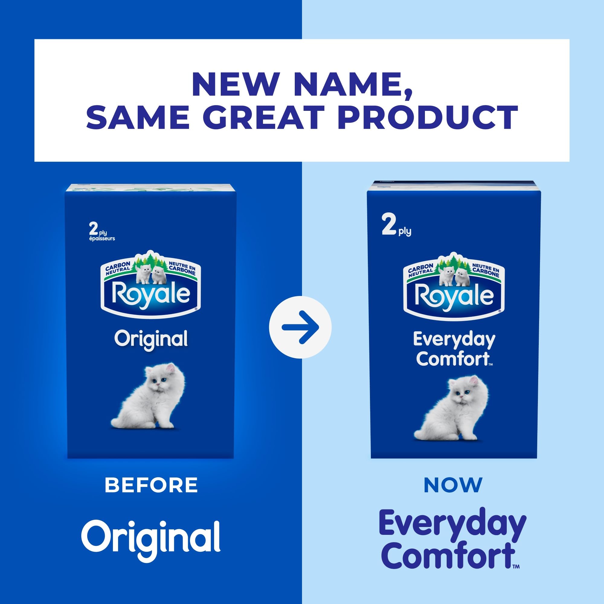 Royale Everyday Comfort 2 Ply Facial Tissue, 24 Tissue Boxes, 100 Tissues per Box 🍁 All In One Marketplace Canada