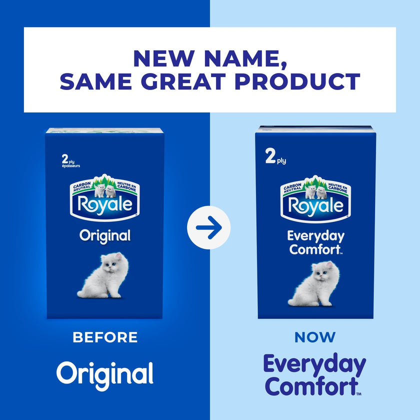 Royale Everyday Comfort 2 Ply Facial Tissue, 24 Tissue Boxes, 100 Tissues per Box 🍁 All In One Marketplace Canada