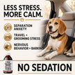 CB2 Hemp Oil for Dogs [225,000mg / 240mL / Organic] - Natural Hip and Joint Supplement for Dogs - Calming Anxiety Relief - Extra Strength for Pain, Inflammation, Arthritis, Stress, Aggression 🍁 All In One Marketplace Canada
