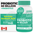 Probiotics Women & Men - 60 Billion CFU Probiotic + Prebiotics | Delayed Release Capsules Survive Stomach Acid for Max Potency | Digestive & Immune Support | Bloating & Gas Relief | Shelf Stable Lactobacillus Strains | Canadian Made, 3rd Party Tested