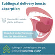 Igennus Sublingual Vitamin B12-Complex 1000mcg, Methylated B12, 180 Serving 🍁 All In One Marketplace Canada