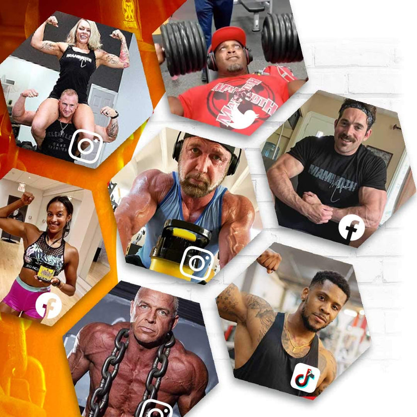 MAMMOTH PUMP – Pre Workout Powder, Superior Muscle Pumps, Increase Strength & Endurance, Explosive Power & Energy Supplement, Heightened Focus, Quick Recovery, Reduced Soreness (30 Serves, Blue Raspberry) 🍁 All In One Marketplace Canada
