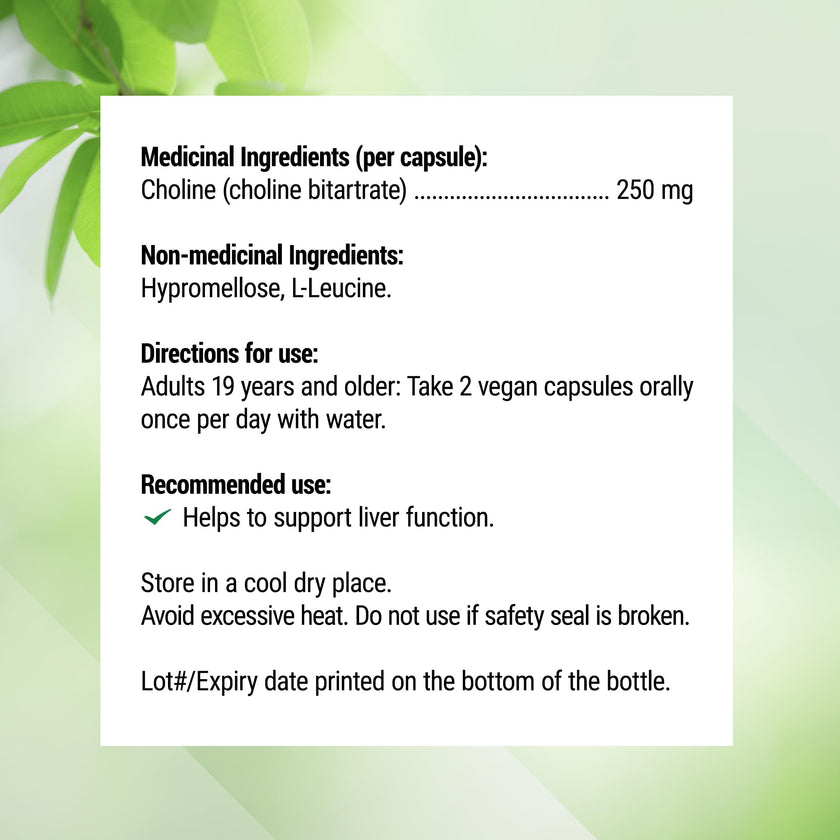 Nested Naturals Choline Bitartrate 500mg Per 2 Capsules | High Potency Choline Supplements | Supports Cognitive & Liver Function | 100% Vegan & Non-GMO Choline | 90 Vegan Capsules 🍁 All In One Marketplace Canada