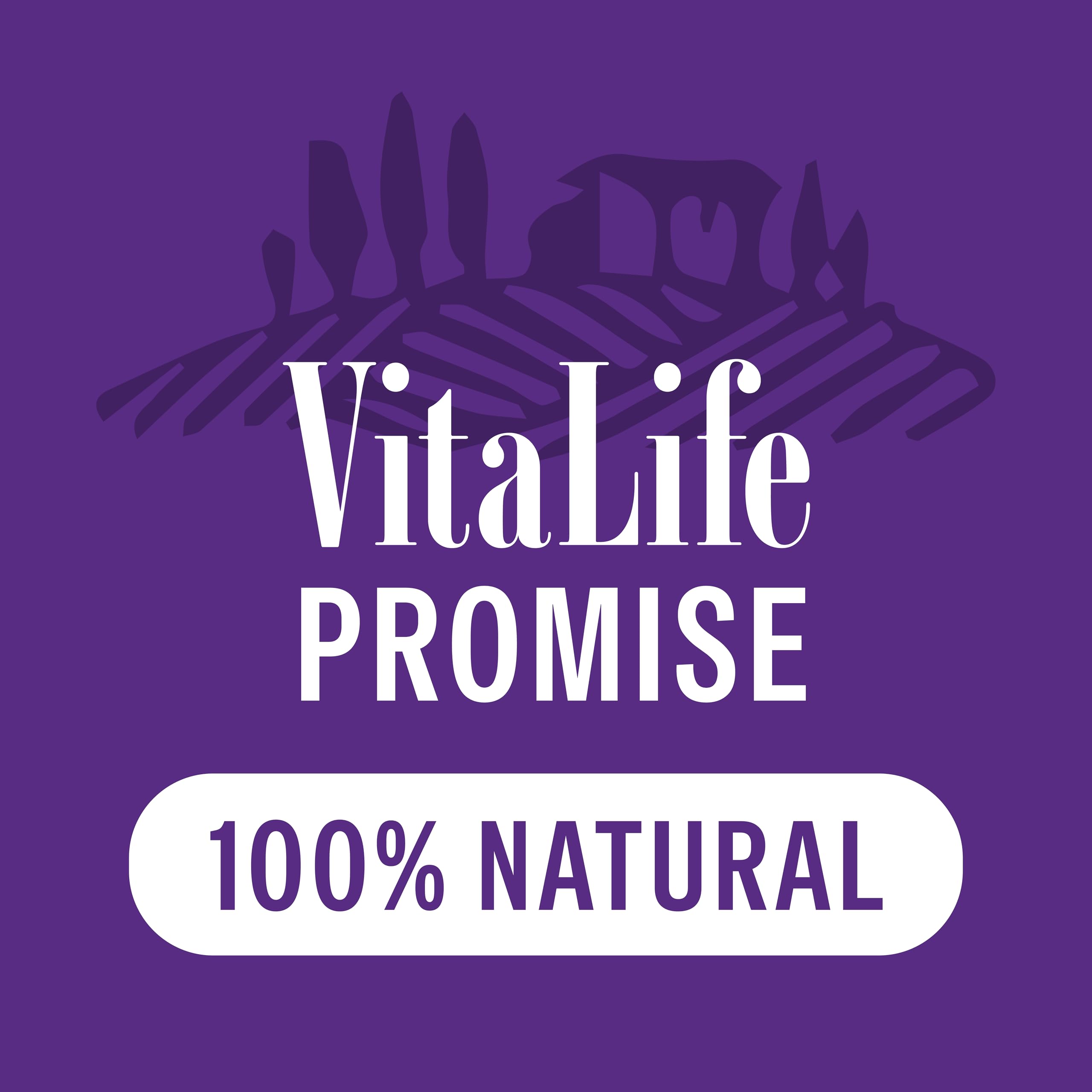VitaLife 750 g Sweet Potato & Duck Twists, All Natural Dog Treats 🍁 All In One Marketplace Canada