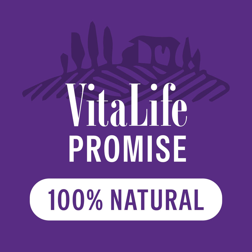 VitaLife 750 g Sweet Potato & Duck Twists, All Natural Dog Treats 🍁 All In One Marketplace Canada