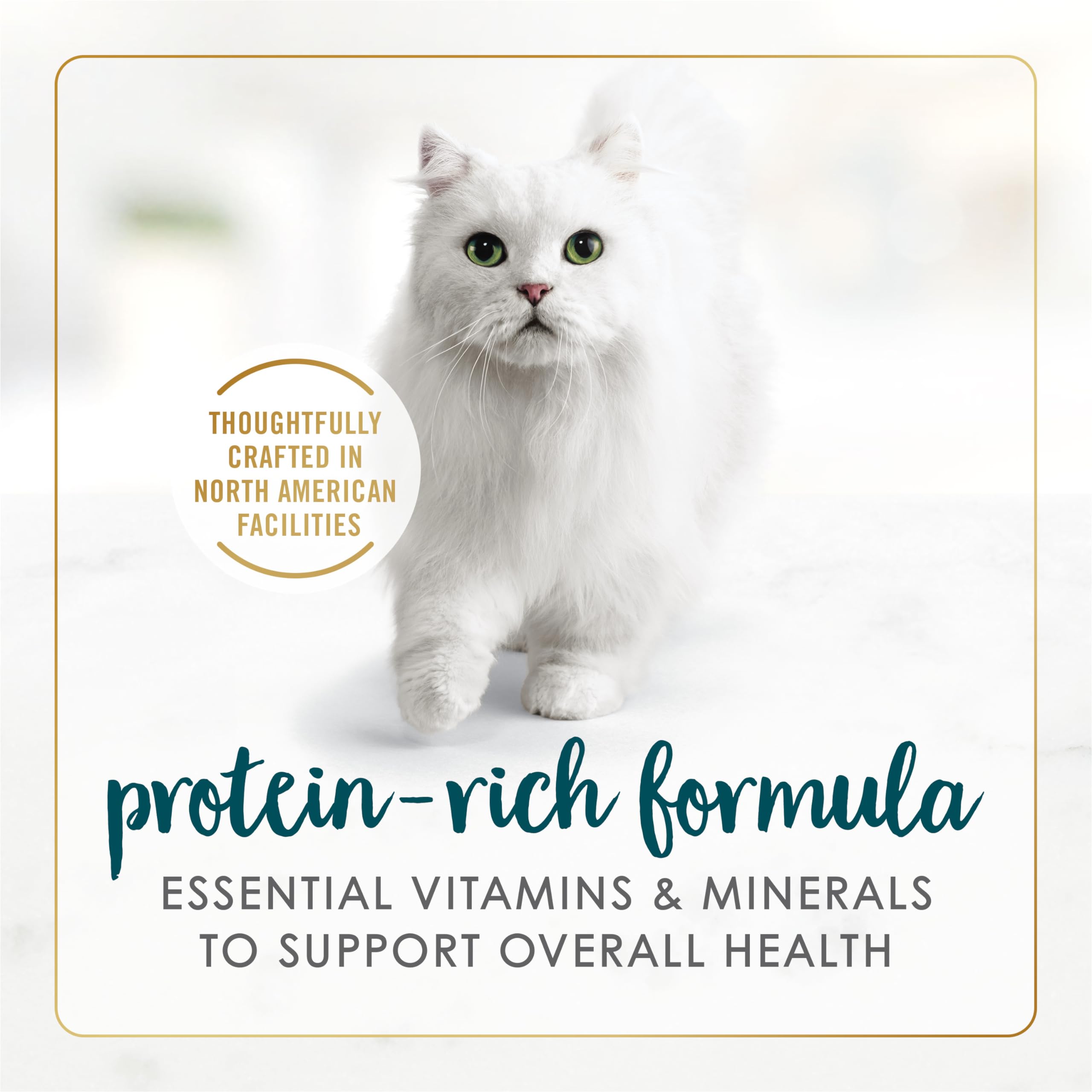 Fancy Feast Wet Cat Food, Pate Salmon & Shrimp Feast - 85 g Can (24 Pack) 🍁 All In One Marketplace Canada