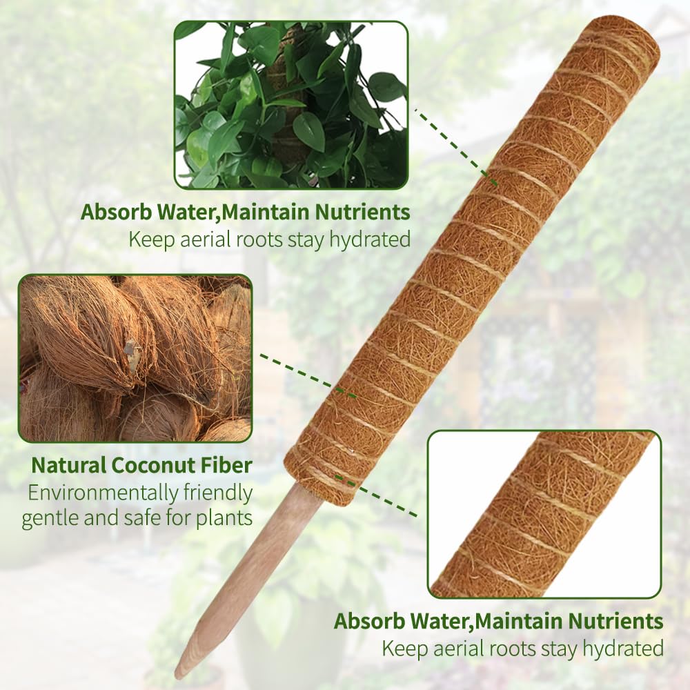 Moss Pole Plant Support Monstera - 5 Pack Coco Coir Moss Stick Plants Climber Support Indoor Monstera Stake for Climbing Plants Live House Potted, Vine, Pothos, Philodendron to Grow Upwards 🍁 All In One Marketplace Canada