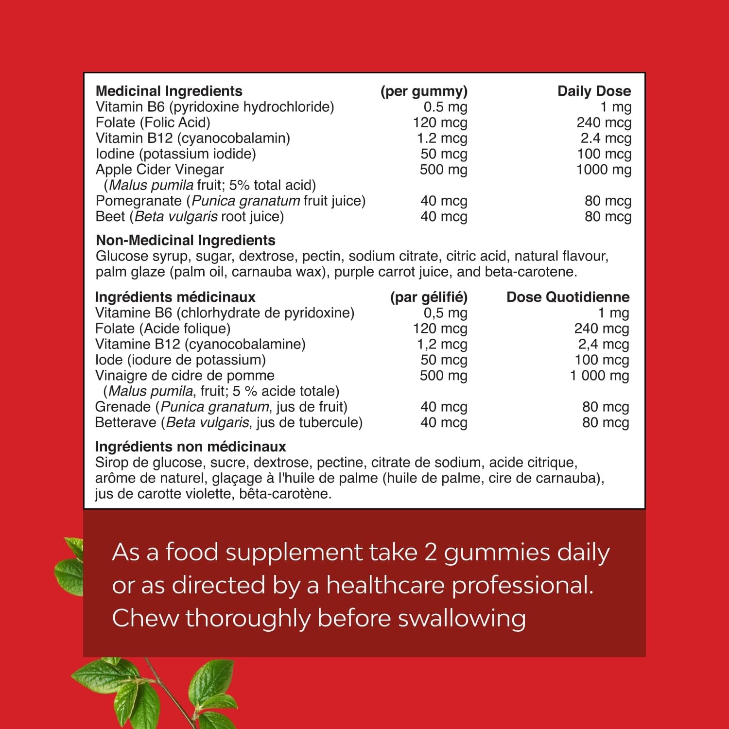Apple Cider Vinegar Gummies with Mother - Supports Appetite Control - ACV Gummies for Detox & Cleanse - Gut Health & Bloating - Metabolism & Energy Support - ACV with Mother - B12 & B6 Vitamin - 60 Ct 🍁 All In One Marketplace Canada