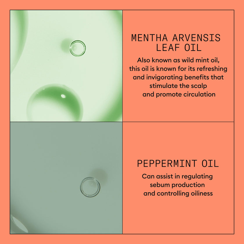 Nioxin System 4 Scalp + Hair Conditioner - Hair Thickening Conditioner for Damaged Hair with Progressed Thinning, 16.9 fl oz (Packaging May Vary) 🍁 All In One Marketplace Canada