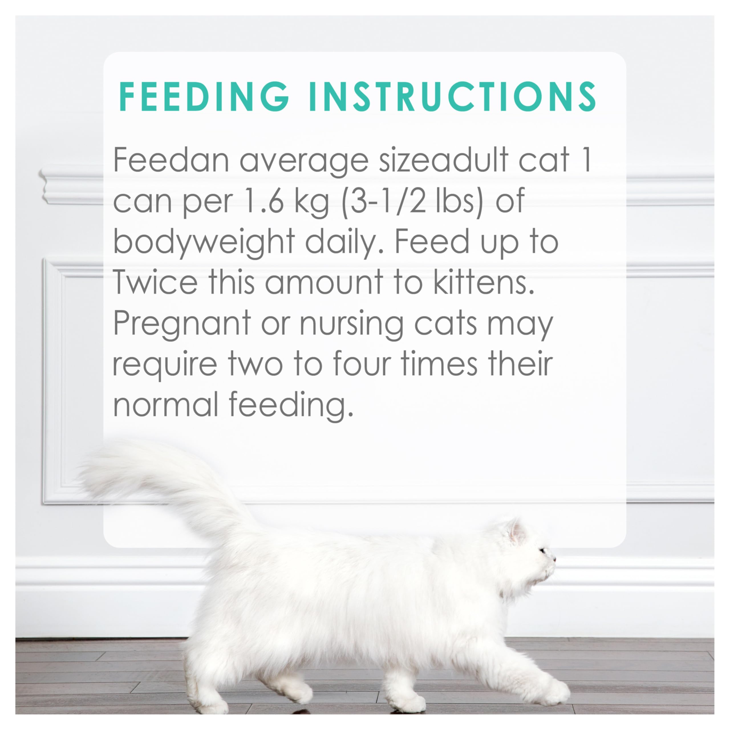 Fancy Feast Pâté Wet Cat Food, Ocean Whitefish & Tuna Feast 85g (24 Pack) 🍁 All In One Marketplace Canada