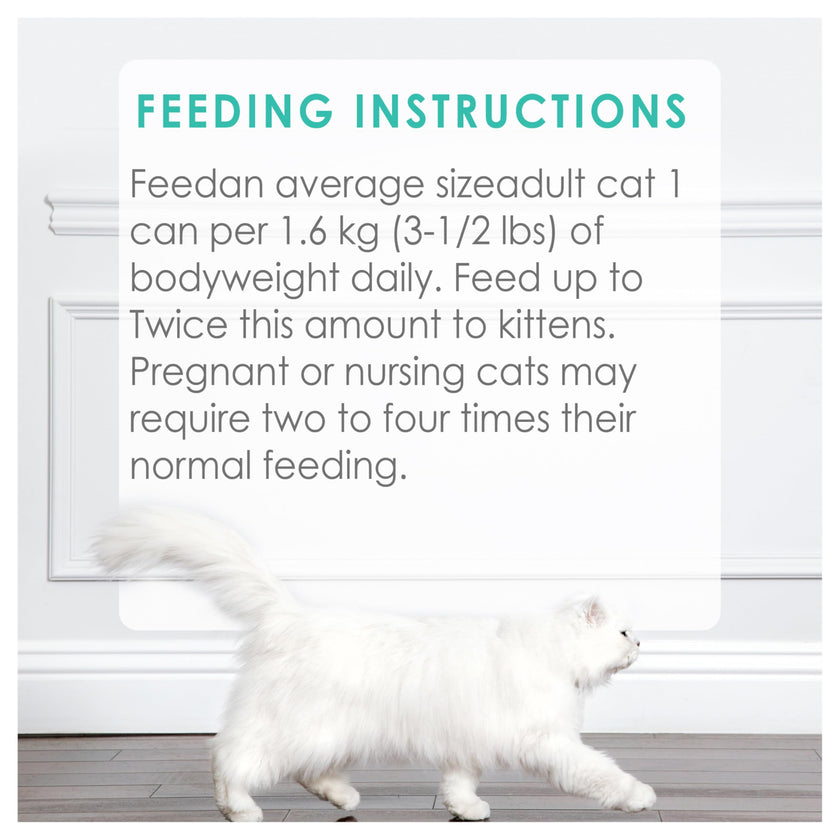 Fancy Feast Pâté Wet Cat Food, Ocean Whitefish & Tuna Feast 85g (24 Pack) 🍁 All In One Marketplace Canada
