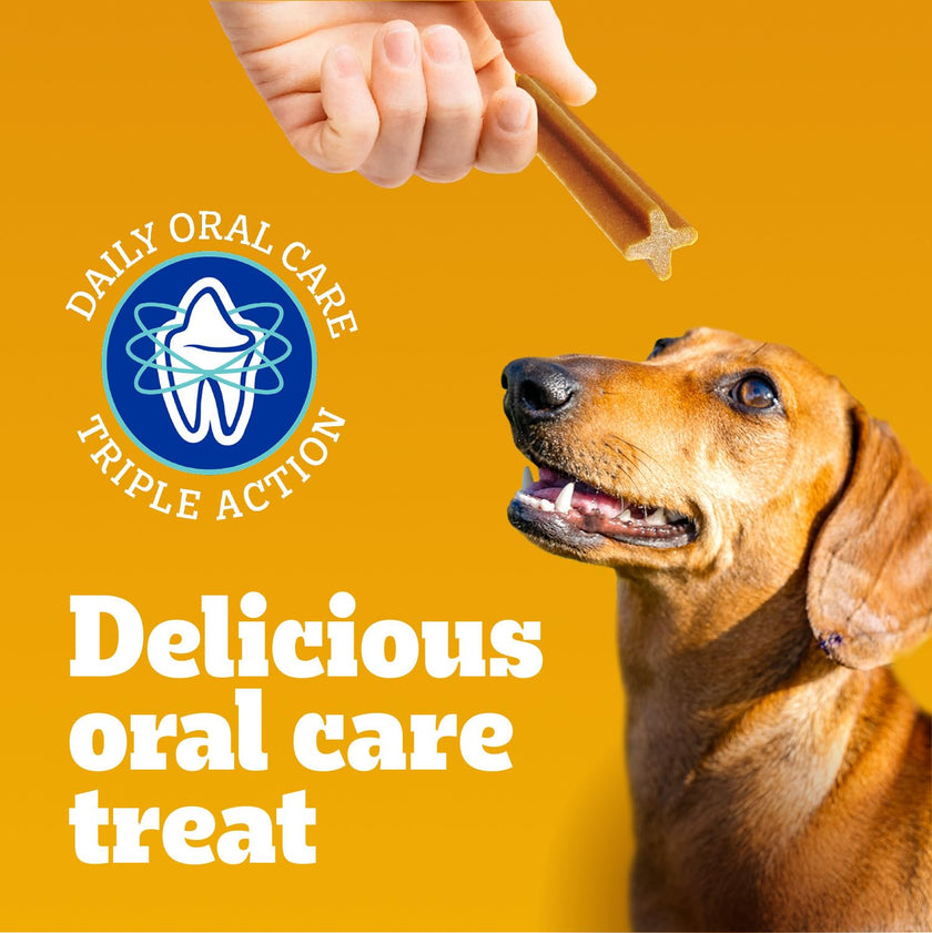 PEDIGREE DENTASTIX Medium Dog Dental Treats Fresh Flavour, 40 Sticks 972g 🍁 All In One Marketplace Canada