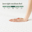 Zinus Full Mattress - 8 Inch Green Tea Essential Memory Foam Mattress, Affordable Mattress, Pressure Relief, CertiPUR-US Certified Foam, Mattress in a Box, 10-Year Warranty, Full Size 🍁 All In One Marketplace Canada