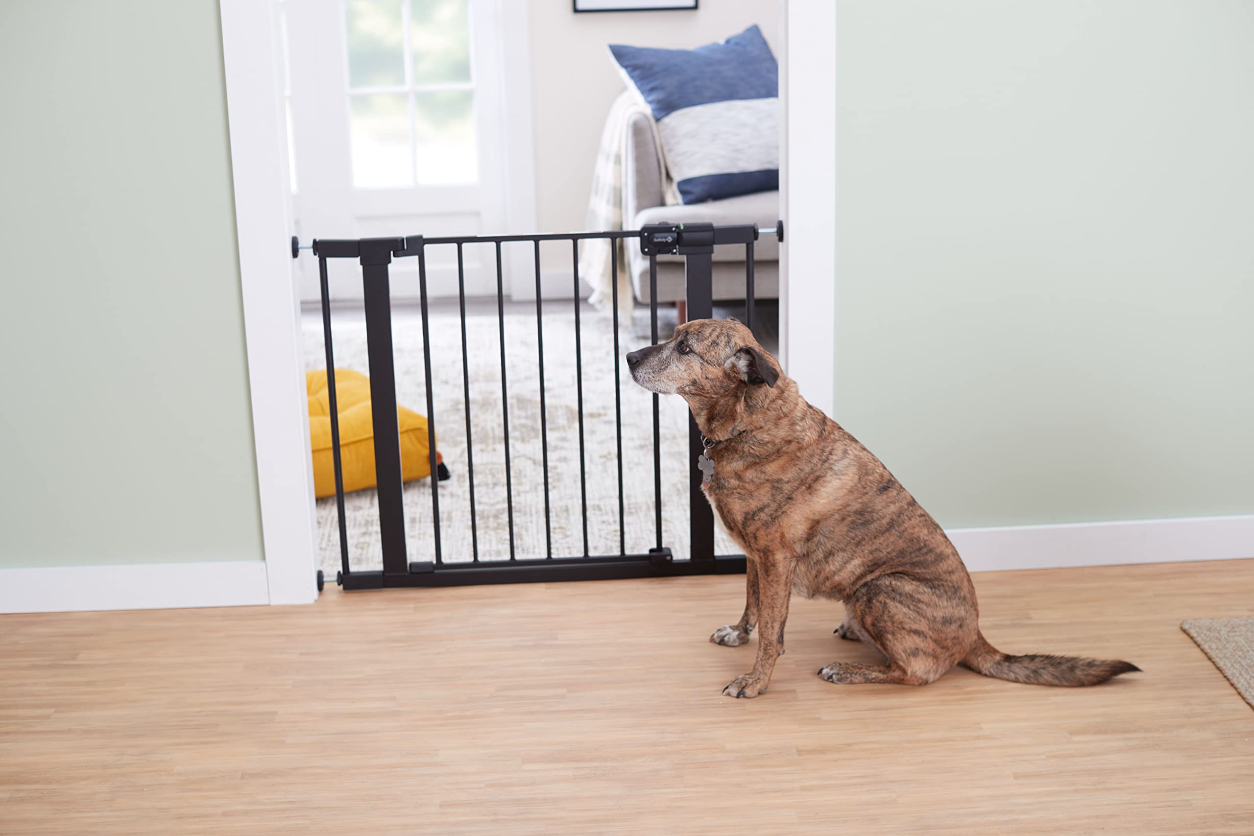 Safety 1st Easy Install Walk-Through Gate, Black 🍁 All In One Marketplace Canada