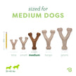 Benebone Wishbone Durable Dog Chew Toy for Aggressive Chewers, Real Bacon, Made in USA, Medium 🍁 All In One Marketplace Canada