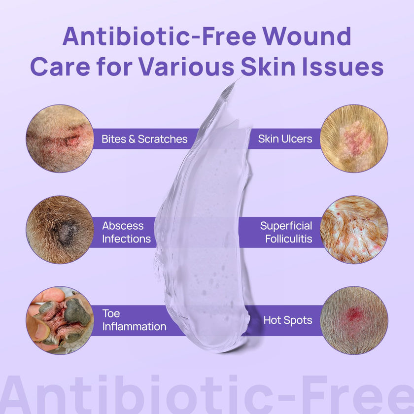 HICC PET Dog Wound Care Hydro Gel, Hot Spot Treatment for Dogs, Soothes Inflammation, Prevents Infection, Treats Bites & Scratches, Cat Wound Care Solution, Small Animal Health Supplies, 100ml 🍁 All In One Marketplace Canada