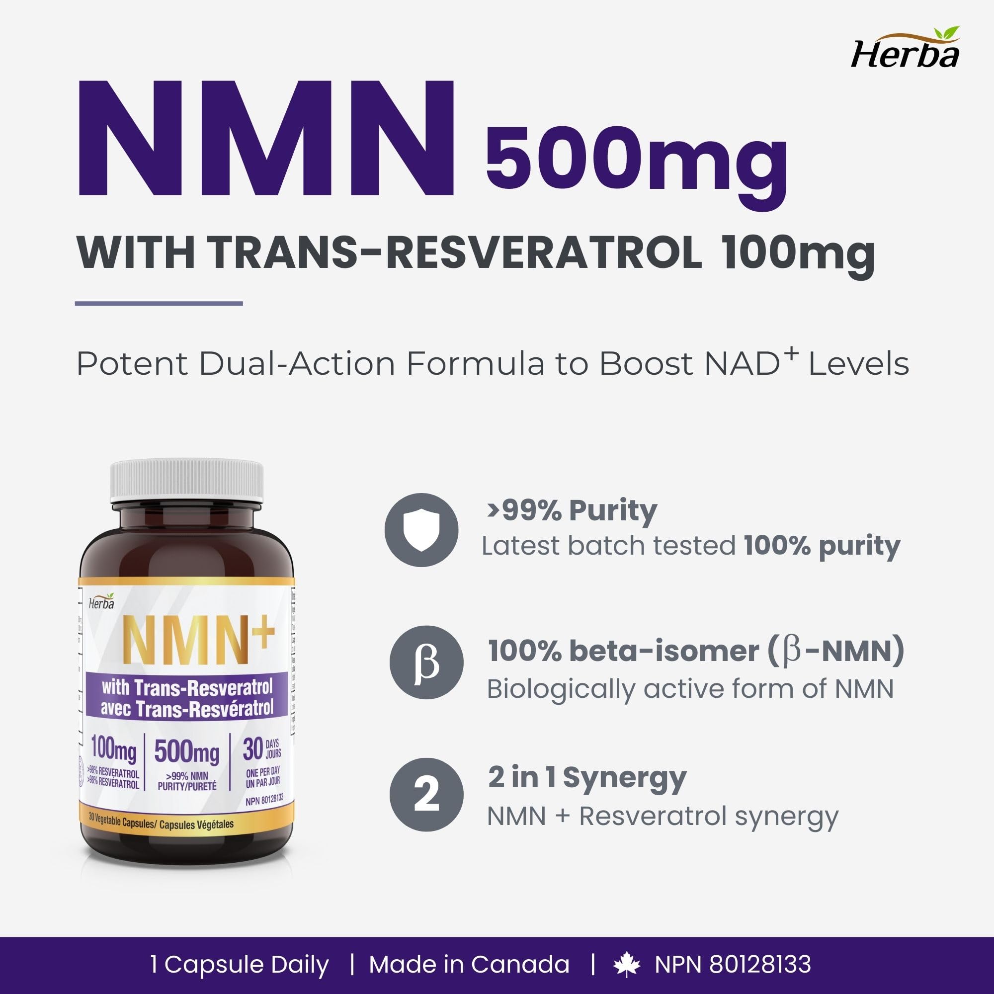 Herba NMN Supplement with Resveratrol – 500mg + 100mg | 100% Purity β-NMN & >99% Resveratrol | NAD Supplement Canada Made | NAD+ Precursor | 30 Capsules 🍁 All In One Marketplace Canada