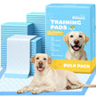 100-Pack X-Large Puppy Pads - 34'' x 28'' Pee Pads for Dogs Potty Training with Leak-Proof Quick-Dry Design, 6-Layer Dog Pee Pads with Extra Large Size 🍁 All In One Marketplace Canada