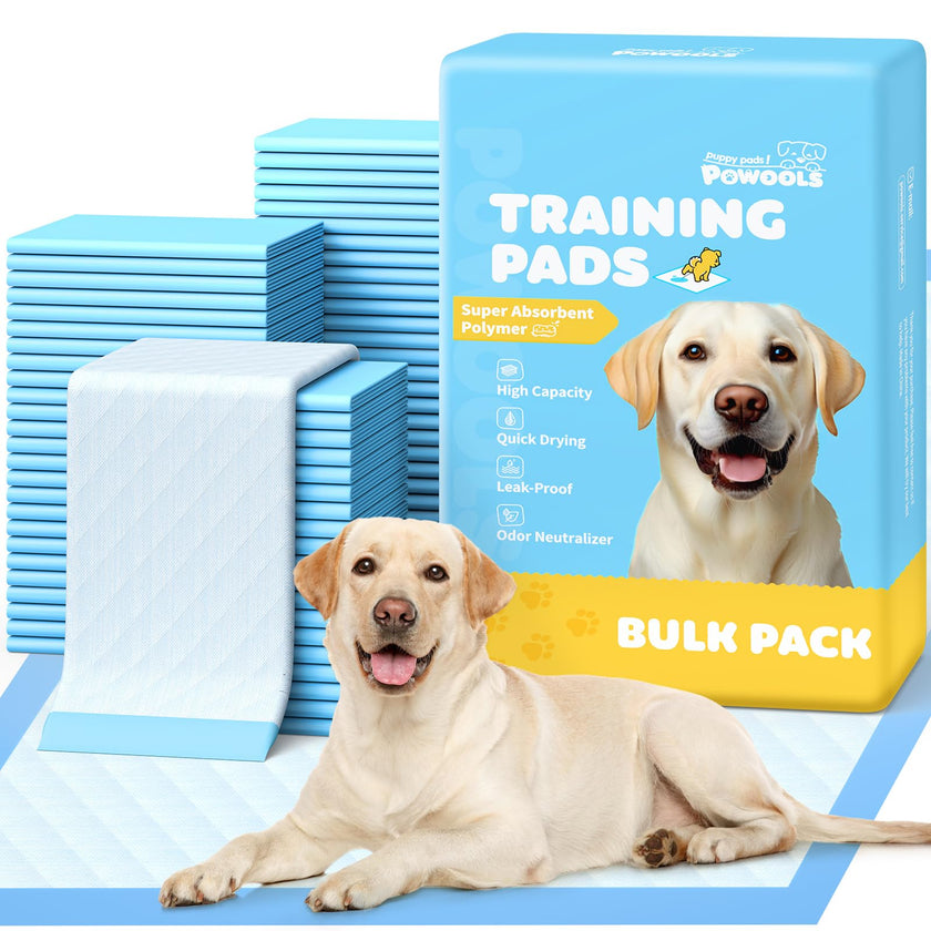 100-Pack X-Large Puppy Pads - 34'' x 28'' Pee Pads for Dogs Potty Training with Leak-Proof Quick-Dry Design, 6-Layer Dog Pee Pads with Extra Large Size 🍁 All In One Marketplace Canada