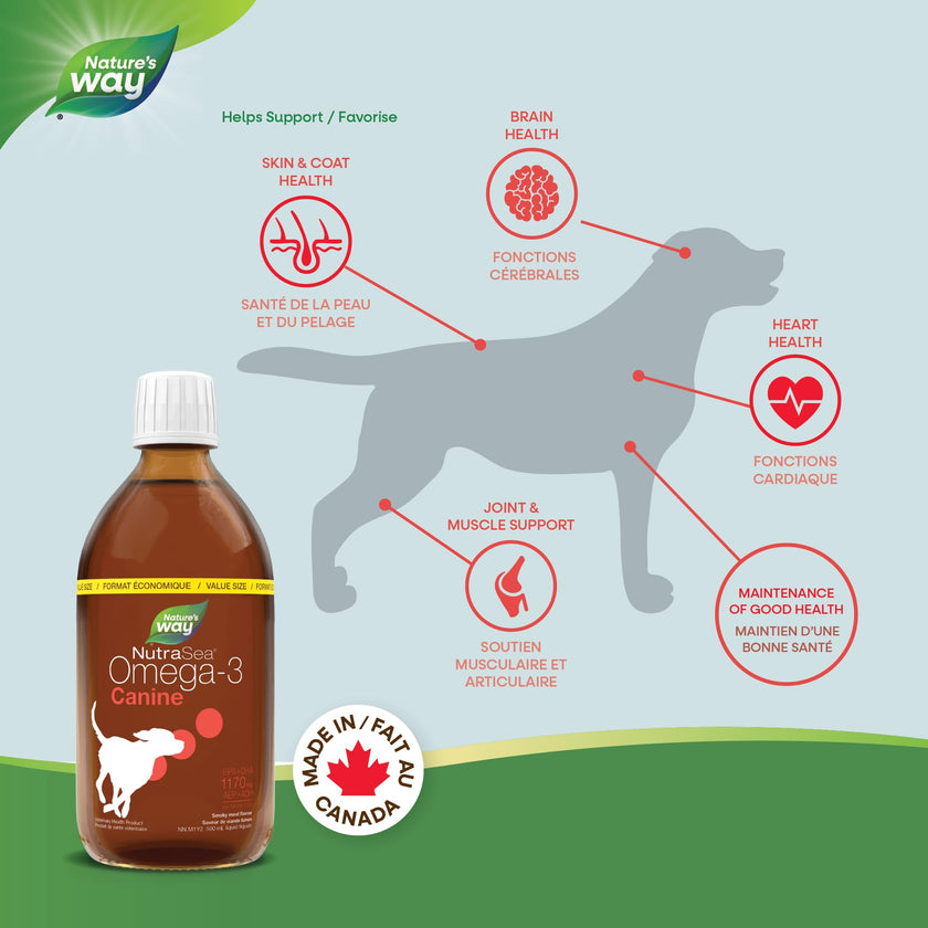 Nature’s Way NutraSea Omega-3 Canine Supplement for Dogs – Helps Support Dogs’ Skin, Coat, Muscles, Joints, Heart & Brain – 1170 mg of EPA + DHA – Smoky Meat Flavour, 500 mL 🍁 All In One Marketplace Canada