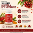 ALL-IN-ONE Berberine 1000 mg with Ceylon Cinnamon 2000 mg, Chromium Picolinate 500 mcg & Turmeric 2000 mg (Per Serving: 2 Capsules) – Blood Sugar, Glucose & Metabolic Support – Cholesterol & Cardiovascular Health – Made in Canada