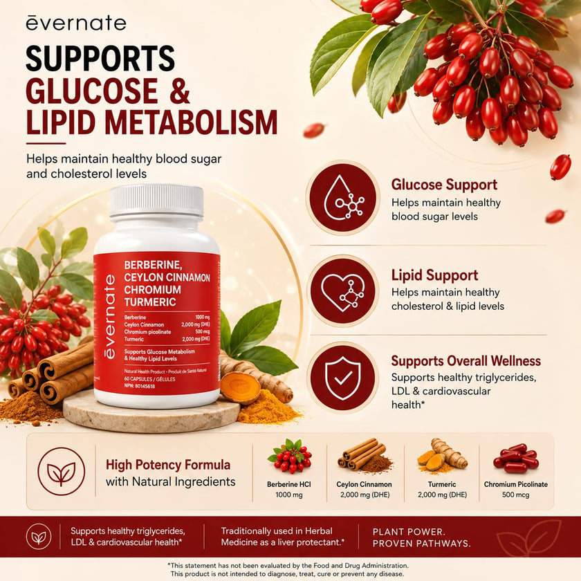 ALL-IN-ONE Berberine 1000 mg with Ceylon Cinnamon 2000 mg, Chromium Picolinate 500 mcg & Turmeric 2000 mg (Per Serving: 2 Capsules) – Blood Sugar, Glucose & Metabolic Support – Cholesterol & Cardiovascular Health – Made in Canada