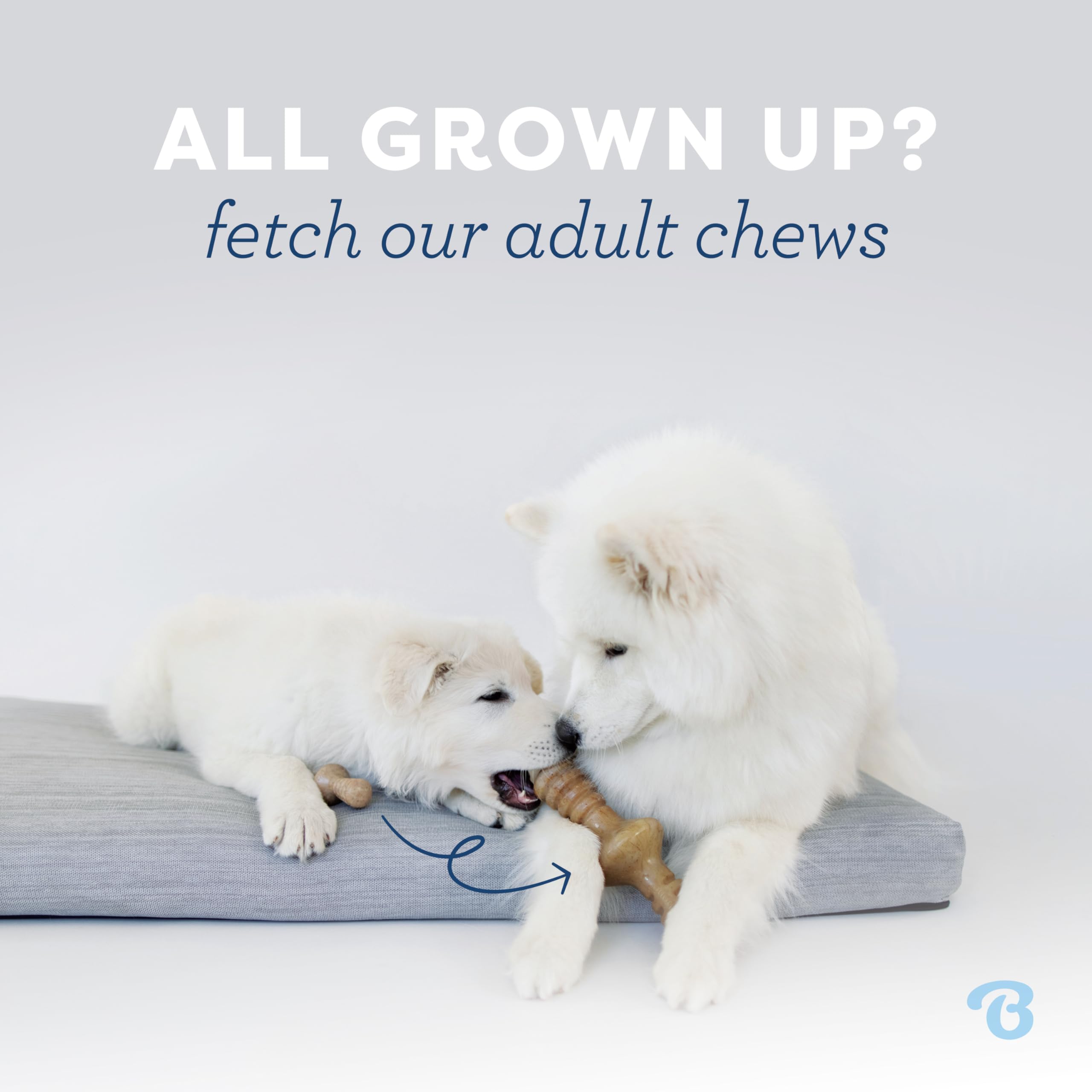 Benebone Puppy 4-Pack Dog Chew Toys for Gentle Chewers, Dog Bones, Small 🍁 All In One Marketplace Canada