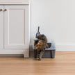 IRIS USA Large Cat Litter Box with Scatter Shield and Scoop, Open Top High Sided Cat Litter Pan, Gray 🍁 All In One Marketplace Canada