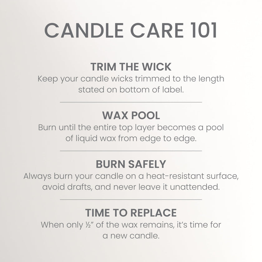 Yankee Candle 3 Wick Candle Jar, Scented Candle with up to 40 Hours of Burn Time, Premium Plant Wax Blend for Consistent Long Lasting Scent from First to Last Burn, Coconut Beach 🍁 All In One Marketplace Canada