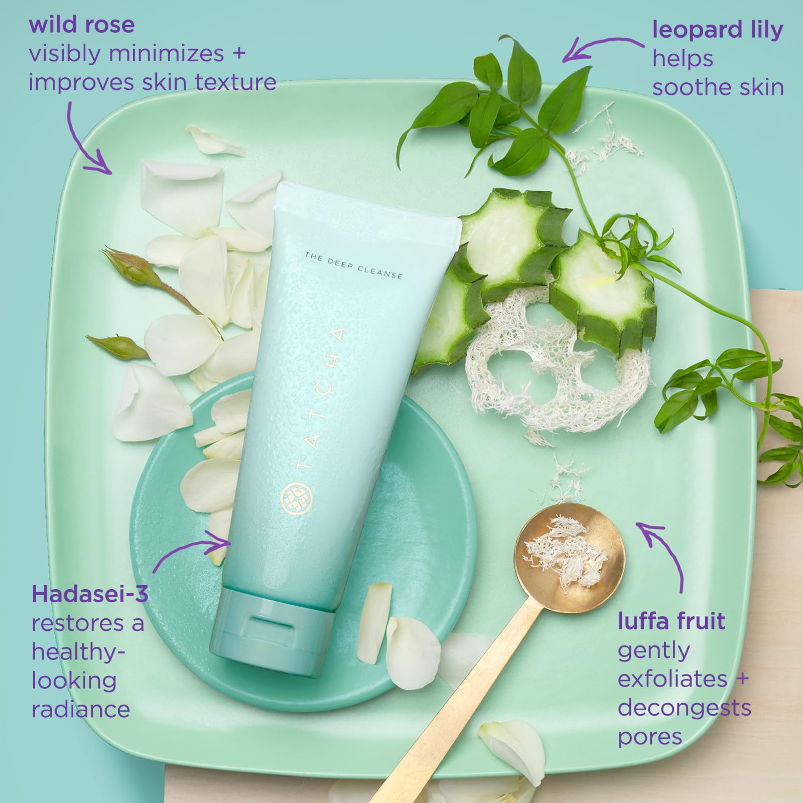 TATCHA The Deep Cleanse | Deep, Gentle Exfoliating Cleanser - Lifts Dirt & Unclogs Pores for Oily & Combo Skin | 150 ml, 5.0 fl. oz. 🍁 All In One Marketplace Canada