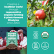 Navitas Organics Pomegranate Powder, 8 oz. Bag 🍁 All In One Marketplace Canada