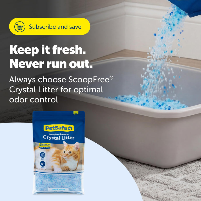 ScoopFree Premium Fresh Scent Crystal Litter, Superior Odor Control, Absorbs 5X Faster, Low Tracking for Less Mess, Lasts up to 2 Months, Lightly Scented (8 lb Bag) 🍁 All In One Marketplace Canada