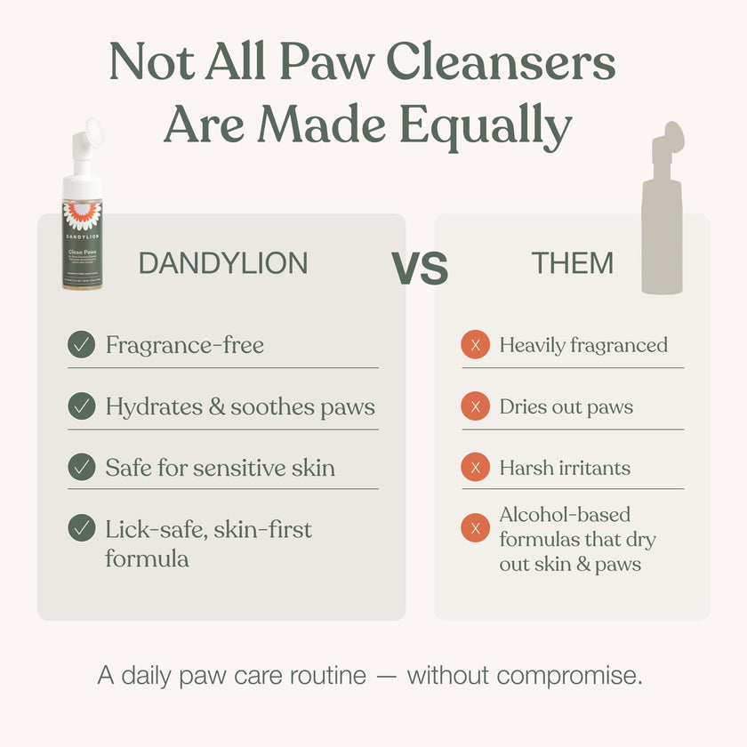 Dandylion Dog Paw Cleaner, Clean Paws, Dog Paw Washer, No Rinse Foam Cleaner for Dogs, Fragrance Free pH Balanced Foaming Washer with Silicone Brush, Pet Cleaning Supplies, 5 fl oz 🍁 All In One Marketplace Canada