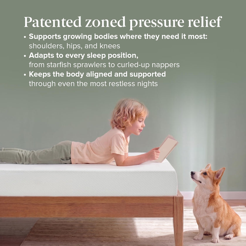 Zinus Twin Mattress - 6 Inch Green Tea Infused Memory Foam Mattress, Mattress in a Box, CertiPUR-US Certified Foam with Pressure Relief, 10-Year Warranty, Twin Size 🍁 All In One Marketplace Canada