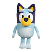 Bluey 18