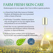 Aloderma 99% Organic Aloe Vera Gel for Skin Made within 12 Hours of Harvest, Non-Sticky Aloe Vera Gel for Sunburn Relief, Natural, Soothing Hydrating Aloe Vera for Face & Hair, Lightweight Gel, 10.6oz 🍁 All In One Marketplace Canada