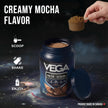 Vega Protein + Recovery, Mocha – 30g Vegan Protein, Dairy & Gluten Free, Probiotics, NSF Certified, 812 g (19 Servings) 🍁 All In One Marketplace Canada